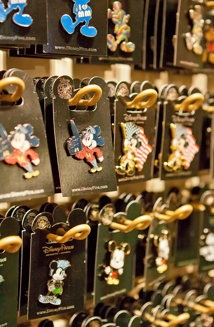 10 Great Souvenirs to Buy at Disneyland Blog